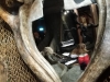 Ark_2020_08